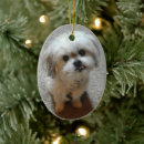 Recherche de tzu de shih de ornements Animaux de compagnie