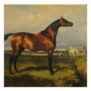 Recherche de chevaux vintages posters Français