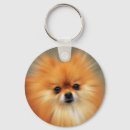 Recherche de spitz porteclés Animal