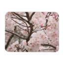 Recherche de cerise magnets Sakura