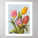 Recherche de tulipe violette posters Tulipes roses