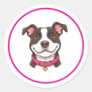 Recherche de pitbull chien autocollants Drôle