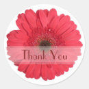 Recherche de gerbera rouge autocollants Merci