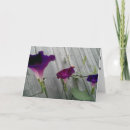 Recherche de gloire de matin vœux cartes Floral