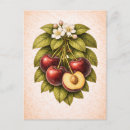 Recherche de cerises rouges cartes postales Illustration