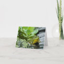Recherche de de grenouille correspondances cartes Nature