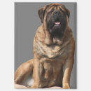 Recherche de chien magnets Pour lui