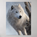 Recherche de beau loup art Animaux sauvages