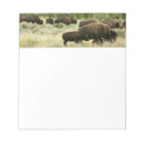 Recherche de bison blocsnotes Faune