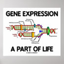 Recherche de biologiste posters Adn