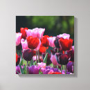 Recherche de copie de tulipe Coloré