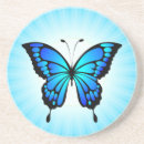 Recherche de insecte dessous de verres Ailes