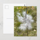 Recherche de venteux cartes postales Photographie