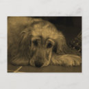 Recherche de compagnon cartes postales Chien