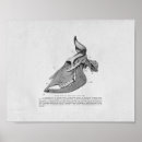 Recherche de crânes taureau posters Vache