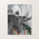 Recherche de montre puzzles Chaton