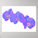 Recherche de orchidée blanche posters Orchidées blanches