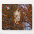 Recherche de plume blanche tapis souris Plumes