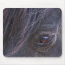 Recherche de oeil de cheval photographie Nature