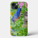 Recherche de courrier de barrière Oiseau
