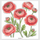 Recherche de renoncule autocollants Fleurs