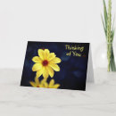 Recherche de pensée jaune vœux cartes Fleur