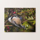 Recherche de bécasseau puzzles Oiseau