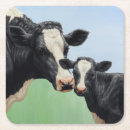 Recherche de holstein dessous de verres Vache laitière