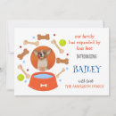 Recherche de pattes invitations Adoption d'animaux