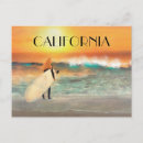 Recherche de malibu californie cartes postales Surf