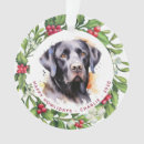 Recherche de guirlande de noël Festif
