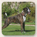 Recherche de canin dessous de verres Position