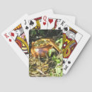 Recherche de chance jeux de cartes Vert