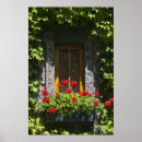 Recherche de géranium posters Fleurs