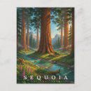 Recherche de arbre de séquoia cartes postales Randonnée