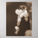 Recherche de défenseur posters Floral