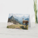 Recherche de picchu de machu vœux cartes Lama