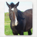 Recherche de solide tapis souris Bleu