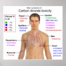 Recherche de carbone art Dioxyde de carbone