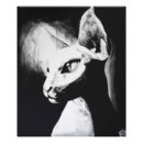 Recherche de sphynx art Sans poils