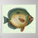 Recherche de natation posters Animal