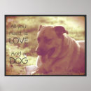 Recherche de animaux secourus posters Dog
