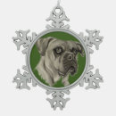 Recherche de bouledogue anglais ornements Animal
