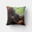 Recherche de orang outan coussins Animaux sauvages