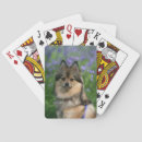 Recherche de spitz jeux de cartes Loulou