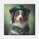 Recherche de caresse magnets Chien