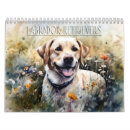 Recherche de labrador calendriers Aquarelle