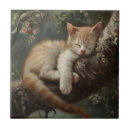 Recherche de chaton carreaux Drôle