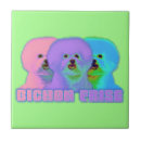 Recherche de frise bichon carreaux Toute personne