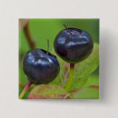 Recherche de mûre badges Fruit